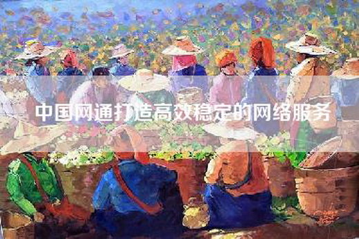 中国网通打造高效稳定的网络服务