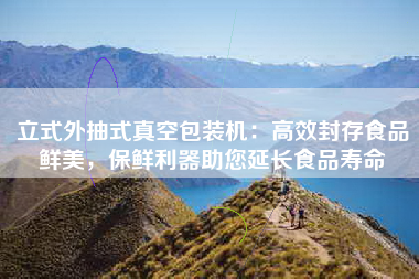 立式外抽式真空包装机：高效封存食品鲜美，保鲜利器助您延长食品寿命