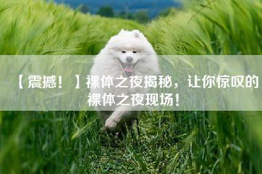 【震撼！】裸体之夜揭秘，让你惊叹的裸体之夜现场！