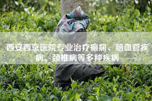 西安西京医院专业治疗癫痫、脑血管疾病、颈椎病等多种疾病