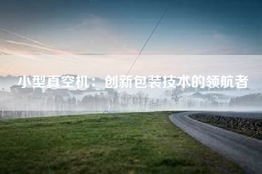 小型真空机：创新包装技术的领航者