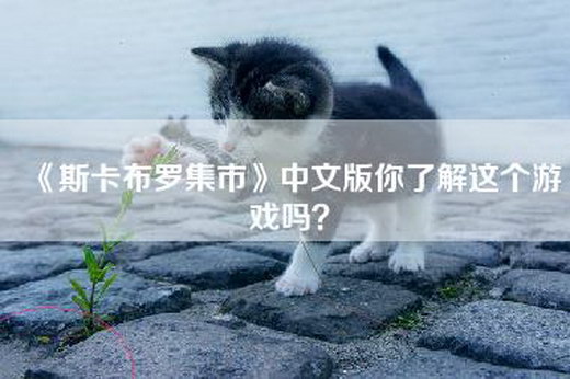 《斯卡布罗集市》中文版你了解这个游戏吗？