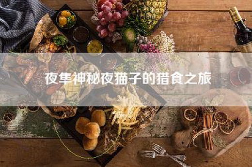 夜隼神秘夜猫子的猎食之旅