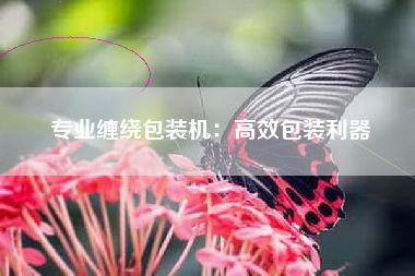 专业缠绕包装机：高效包装利器