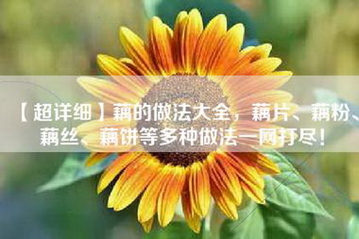 【超详细】藕的做法大全，藕片、藕粉、藕丝、藕饼等多种做法一网打尽！