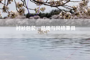 衬衫包装，品质与风格兼具