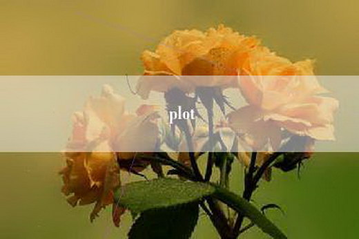 plot