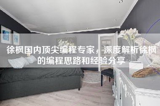 徐枫国内顶尖编程专家，深度解析徐枫的编程思路和经验分享