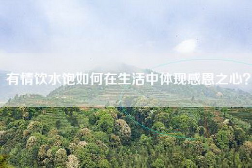 有情饮水饱如何在生活中体现感恩之心？