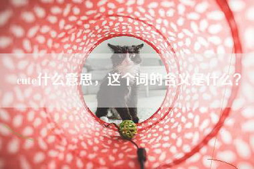 cute什么意思，这个词的含义是什么？