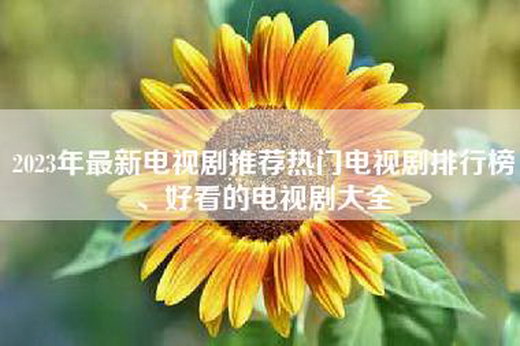 admin