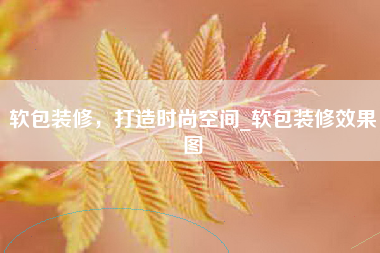 软包装修，打造时尚空间_软包装修效果图