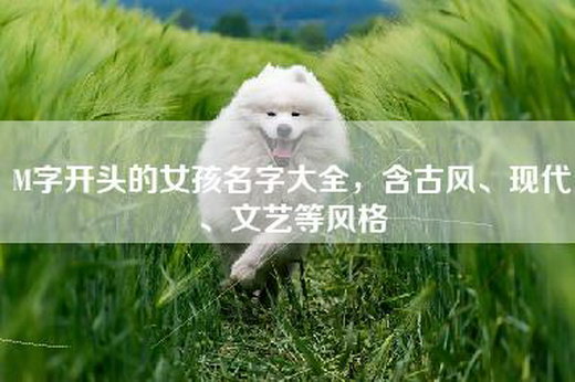 admin