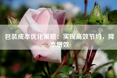 包装成本优化策略：实现高效节约，降本增效