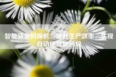智能袋装码垛机：提升生产效率，实现自动化货物码垛