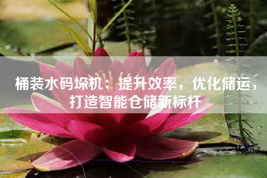桶装水码垛机：提升效率，优化储运，打造智能仓储新标杆