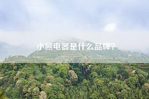 小熊电器是什么品牌？