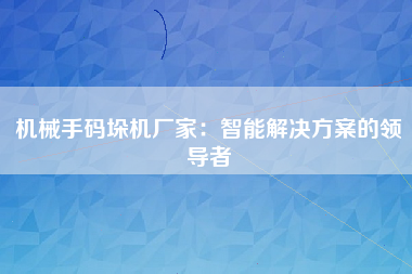 机械手码垛机厂家：智能解决方案的领导者