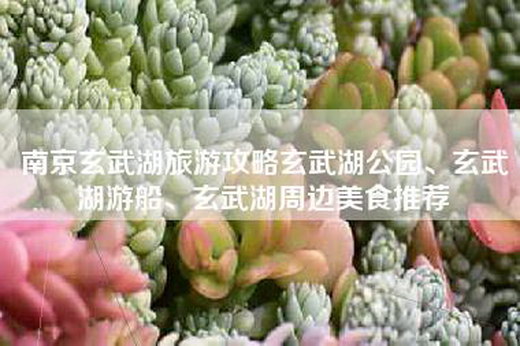 南京玄武湖旅游攻略玄武湖公园、玄武湖游船、玄武湖周边美食推荐
