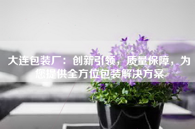 大连包装厂：创新引领，质量保障，为您提供全方位包装解决方案