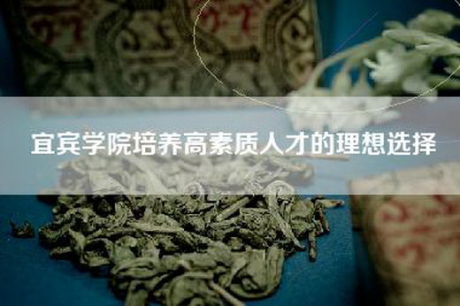 宜宾学院培养高素质人才的理想选择