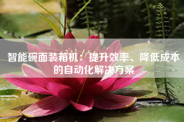 智能碗面装箱机：提升效率、降低成本的自动化解决方案