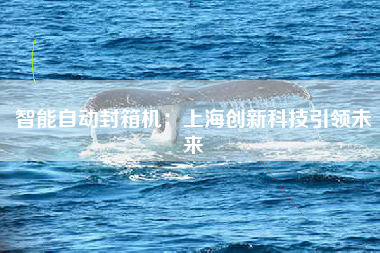 智能自动封箱机：上海创新科技引领未来