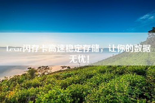 Lexar闪存卡高速稳定存储，让你的数据无忧！