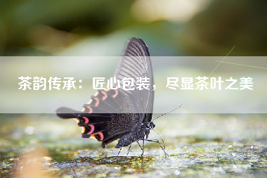 茶韵传承：匠心包装，尽显茶叶之美