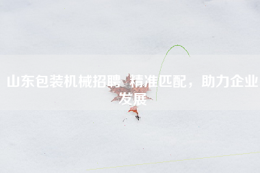 山东包装机械招聘  精准匹配，助力企业发展