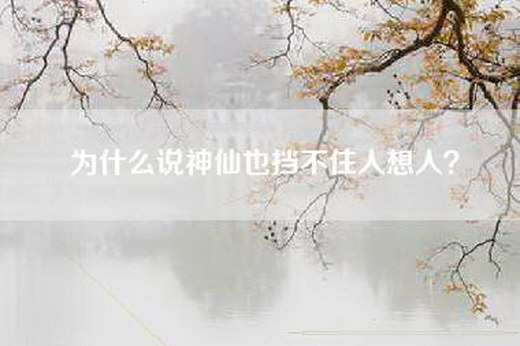 为什么说神仙也挡不住人想人？