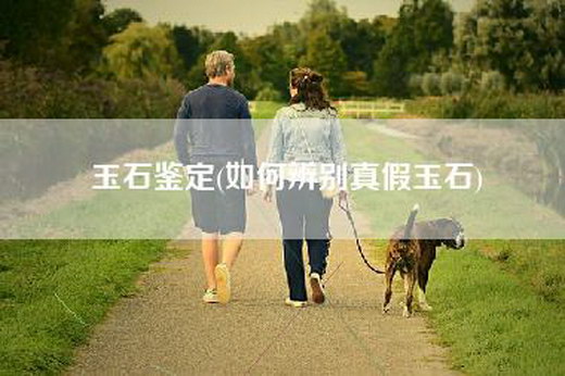 玉石鉴定(如何辨别真假玉石)