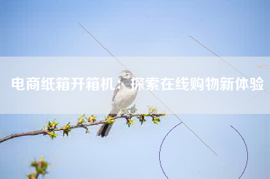 电商纸箱开箱机：探索在线购物新体验