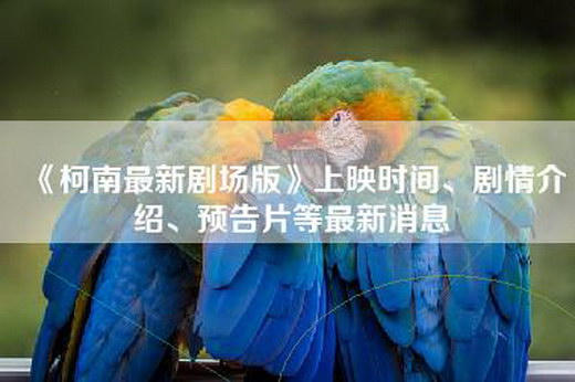 《柯南最新剧场版》上映时间、剧情介绍、预告片等最新消息