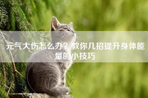 元气大伤怎么办？教你几招提升身体能量的小技巧