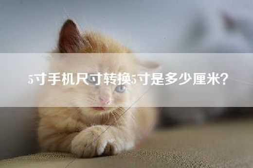 5寸手机尺寸转换5寸是多少厘米？