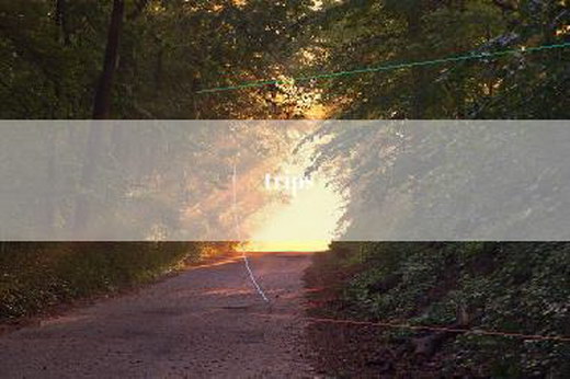 trips