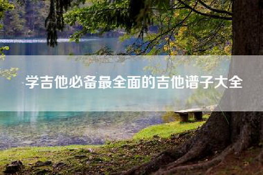 学吉他必备最全面的吉他谱子大全