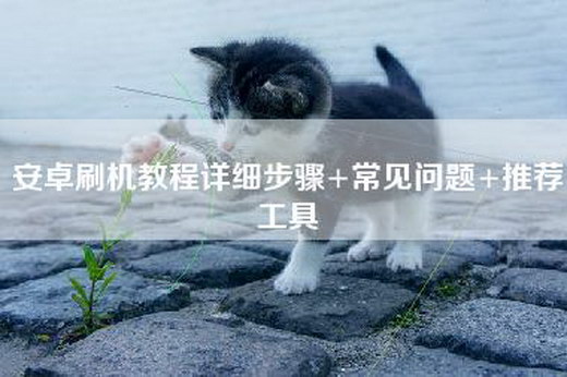 安卓刷机教程详细步骤+常见问题+推荐工具