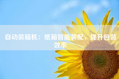 自动装箱机：纸箱智能装配，提升包装效率