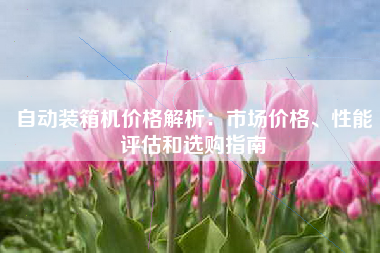 自动装箱机价格解析：市场价格、性能评估和选购指南