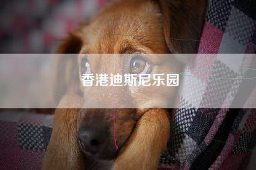 admin