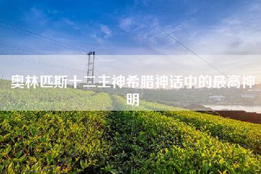 奥林匹斯十二主神希腊神话中的最高神明