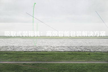 吸取式装箱机：高效智能包装解决方案