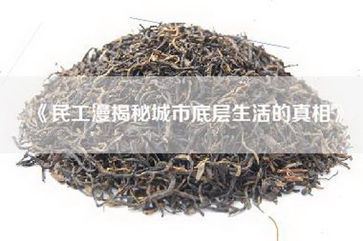 《民工漫揭秘城市底层生活的真相》
