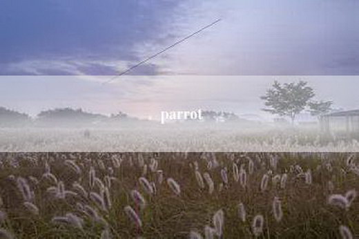 parrot