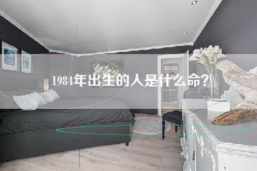 1984年出生的人是什么命？