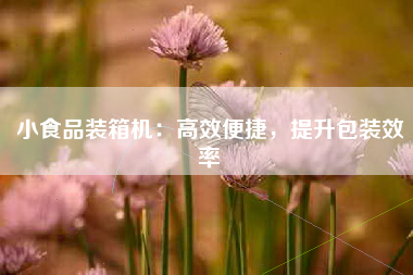 小食品装箱机：高效便捷，提升包装效率