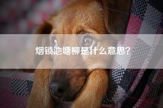 烟锁池塘柳是什么意思？