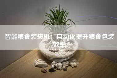 智能粮食装袋机：自动化提升粮食包装效率